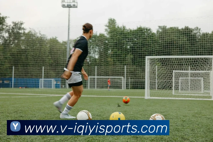 App Interface Preview